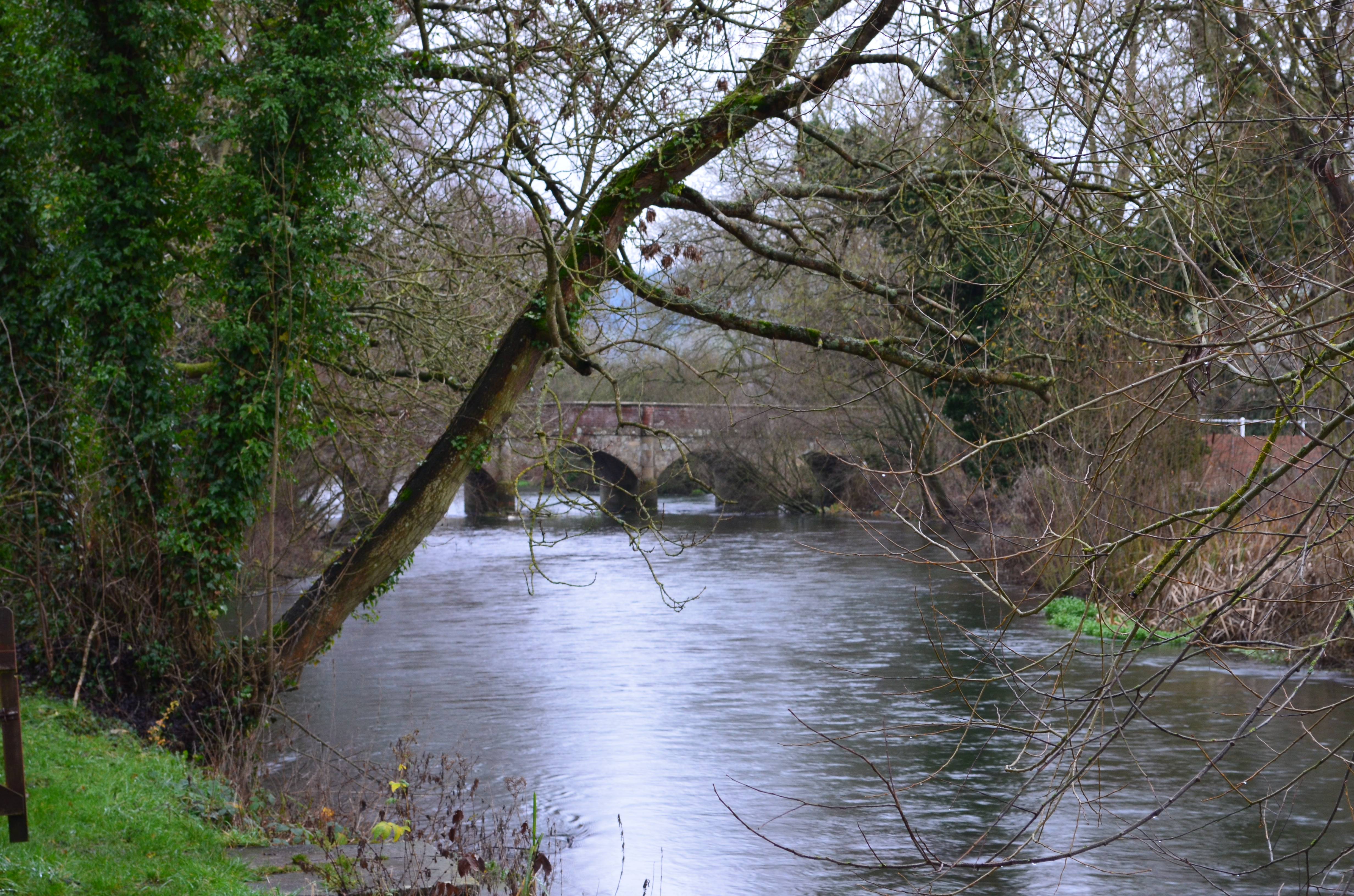 ./2018/15 - London/04 - Day 4/DSC_0555.JPG